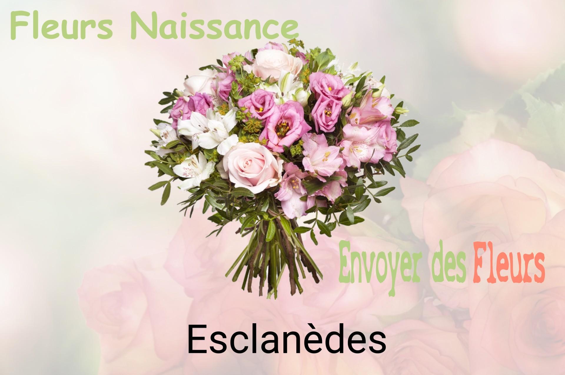 Bouquet de fleurs de naissance livré à Esclanèdes