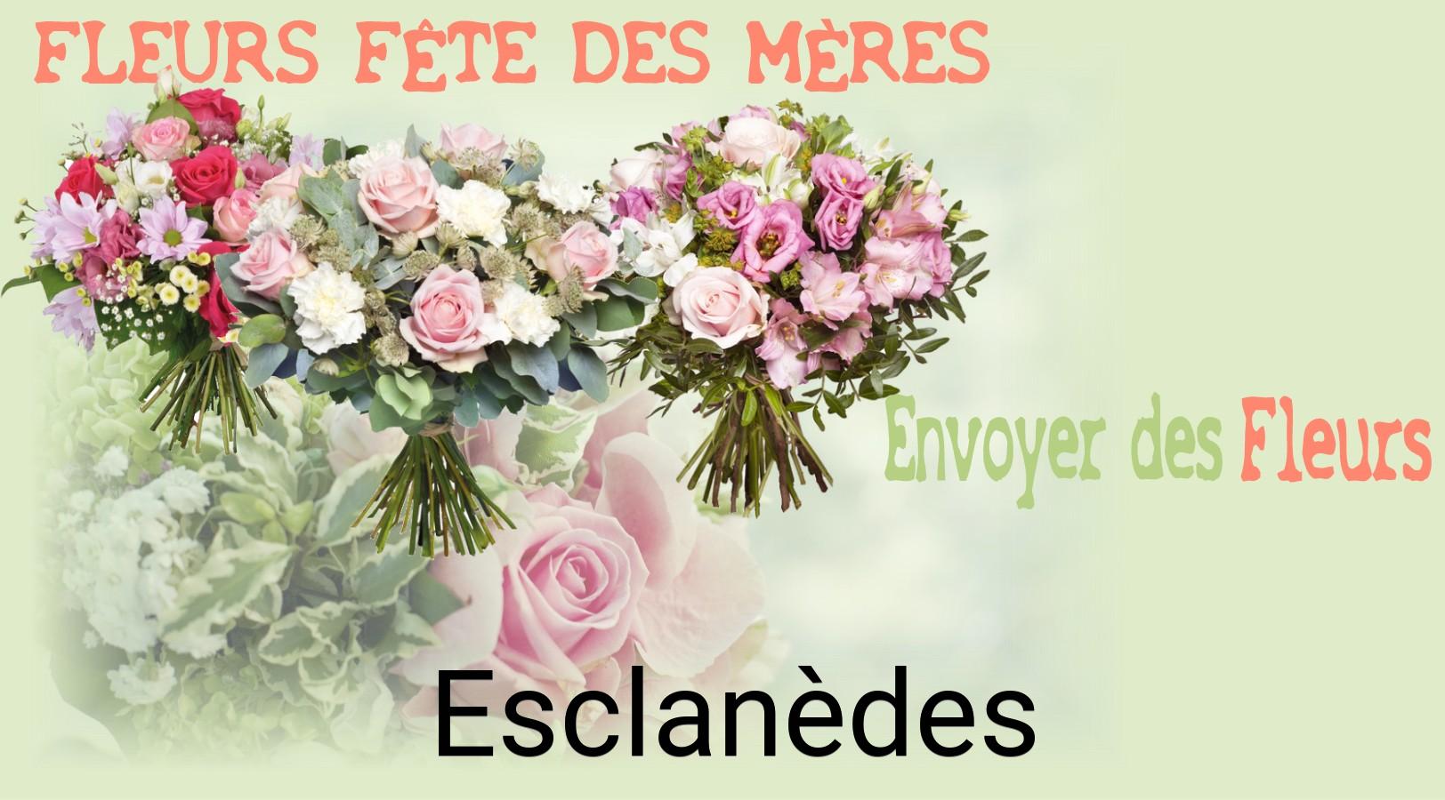 Bouquet de Fête des Mères livré à Esclanèdes